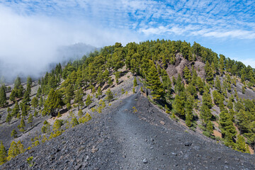 Trail of the Ruta de Los Volcanes through the forest and covered by clouds, Cumbre Vieja, La Palma,...