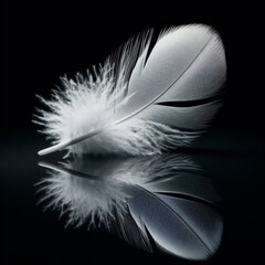 White feather sits on a black reflective surface
