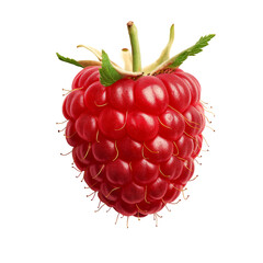 A single ripe raspberry with a stem and leaves isolated on transparent, white background closeup...