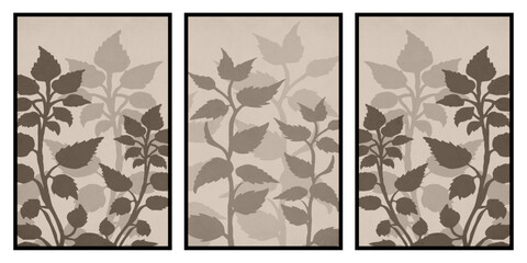 Set of 3 Printable botanical illustration. Rustic style home decor, wall decoration, picture in the frame. Grunge, vintage illustration. 
