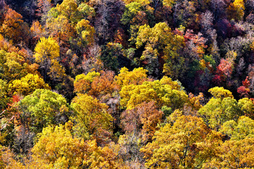 Looking down at the beautiful autumn foliage at Mount Magazine.