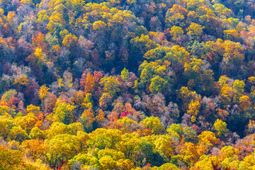 Looking down at the beautiful autumn foliage at Mount Magazine.