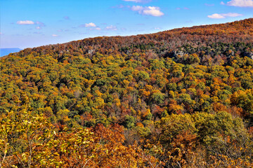 Autumn colors at Mount Magazine State Park.