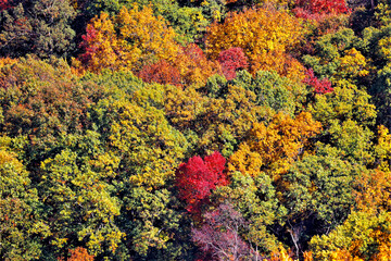 Autumn colors at Mount Magazine State Park.