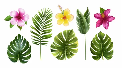 Foto op Plexiglas Tropische planten A modern set of tropical leaves, such as a palm, a banana leaf, hibiscus flowers, and plumeria flowers.