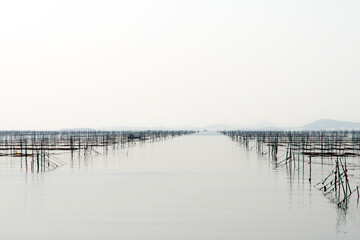 View of the seaweed laver farm at the seaside