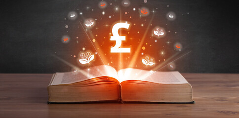 Open book with currency icons above - 762460279