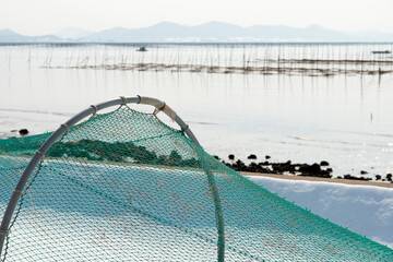 Fishing net at the seaweed farm © 안구정화