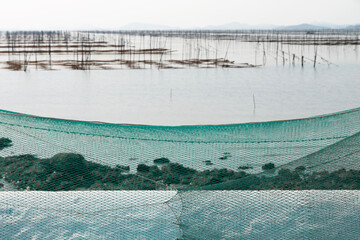 Fishing net at the seaweed farm