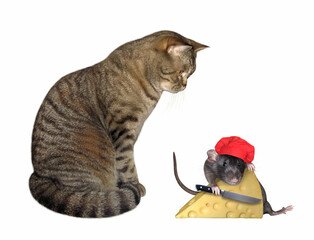 Cat looks at rat cutting cheese - 762461281