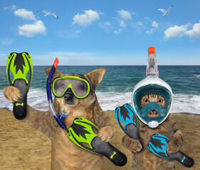 Cat and dog in diving masks by sea 2 - 762461294