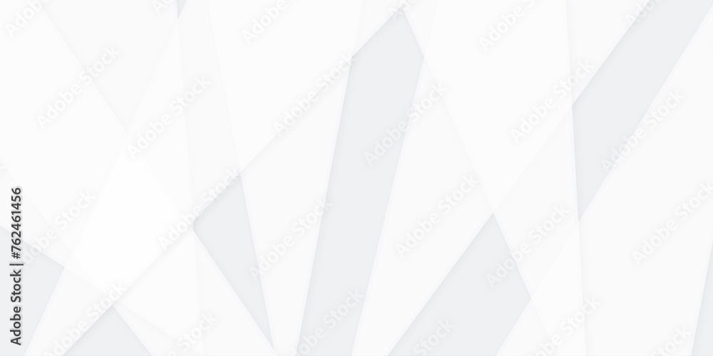Poster abstract white and gray line background design. abstract white and grey on light silver background m