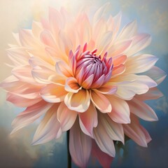 Pink and white dahlia. Flowering flowers, a symbol of spring, new life.