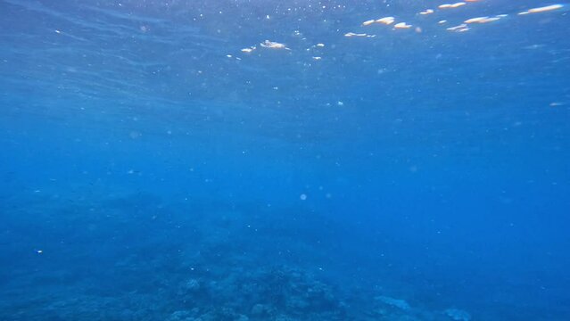 underwater world background