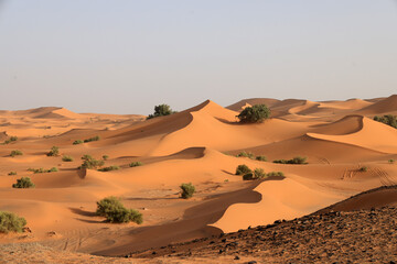 The Sahara Desert in Morocco, Africa.