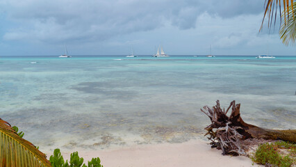 Picturesque beach with palm trees in the Dominican Republic on the island of Saona. Photo in banner format
