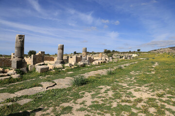 Fototapeta na wymiar Volubilis, a UNESCO World Heritage Site home to Morocco’s best-preserved Roman ruins. This town was of the most remote outposts of the Roman Empire—the Romans ruled here for about 200 years, until 285