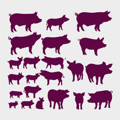 flat design pig silhouette collection