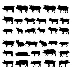 flat design pig silhouette collection