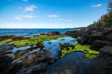 Fototapeta na wymiar Sea cliffs off the Puna Trail near Hilo, Hawaii