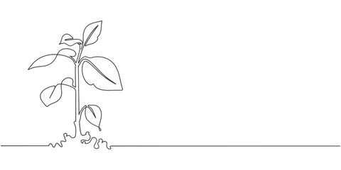 green plant line art style vector illustration