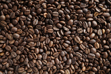 Close-up of roasted Arabica coffee beans