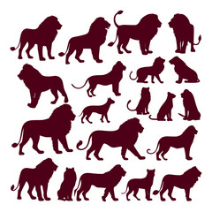 flat design lion silhouette collection