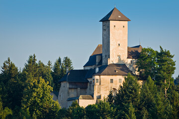 Fototapeta na wymiar Österreich, Niederösterreich, Waldviertel, Burg Rapottenstein