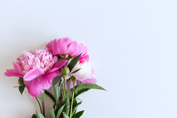 Spring, summer floral still life. Closeup of pink peonies flowers isolated on white wooden background. Decorative corner, web banner. Flat lay, top view.
