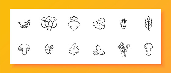 Vegetables icon set. Peas, potatoes, mushrooms, spikelets, beet, spinach, greens, salad, side dish. Black icon on a white background. Vector line icon for business and advertising