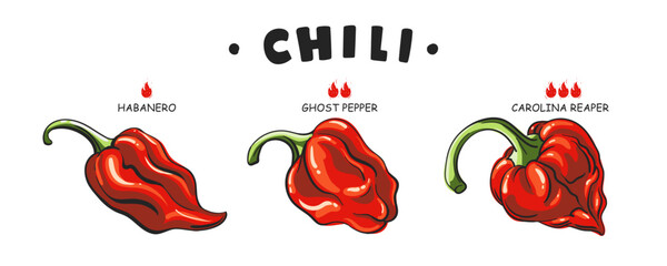 Set Spicy food or sauce taste scale indicators. Illustration red hot chili pepper. Carolina reaper, ghost pepper, habanero. Vector peppers with fire flames. Extra and mild taste