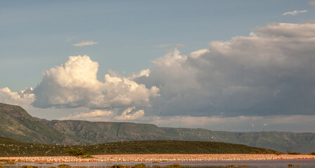 A flock of birds are flying over a large body of water, Kenya.