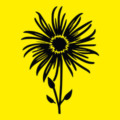 yellow flower isolated on black