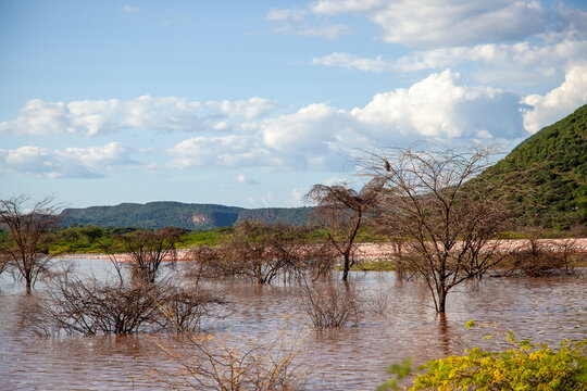 A flooded area with trees and water, Kenya.