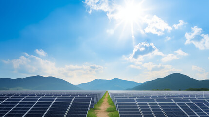 Vast solar panel installation harnessing renewable energy from the sun