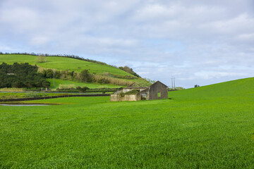 Fototapeta na wymiar Rural landscape with green meadows and abandoned house. Sao Miguel Island, Azores