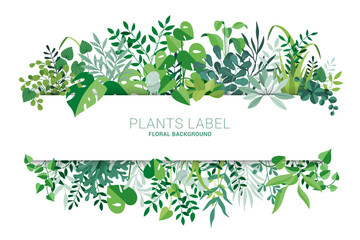 Horizontal floral frame. Tropical foliage and branches. Template for banner, card, poster, greetings, header. Vector flat illustration