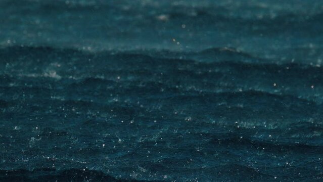 Sea surface during tropical rain shower