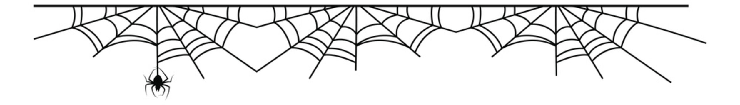 Spider on cobweb decorative divider for halloween designs