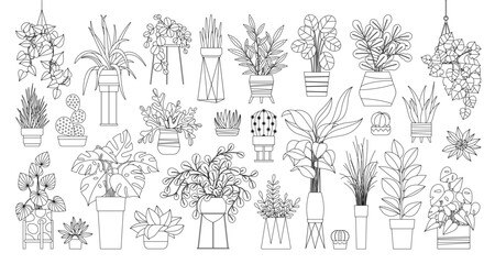 Houseplants. Plant outline drawing vector set, succulents in pots. Indoor exotic flowers with stems and leaves. Monstera, ficus, pothos, yucca, dracaena, cacti, snake plant for home and interior - 762526647