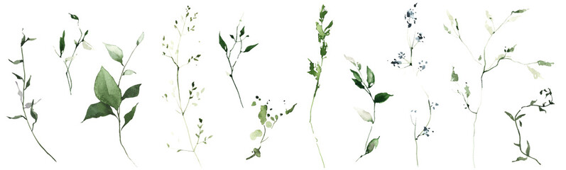Watercolor floral set of green leaves, greenery, branches, twigs, flowers etc. Hand drawn illustration on white background. Watercolour clipart drawing.
