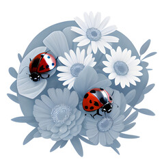 ladybug on daisy