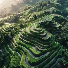 Stoff pro Meter  Rice terraces are a popular tourist attraction in Bali. © Alexandra
