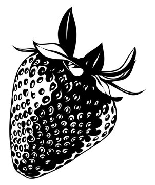Black and white strawberry logo for farm products. Monochrome illustration of a berry for a dessert rich in vitamins. Black painted strawberry. Eco berries.