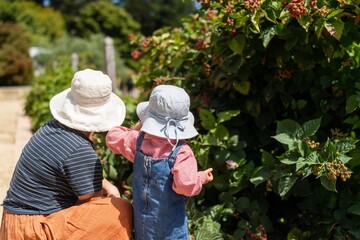 children gardening in the veggie patch in australia