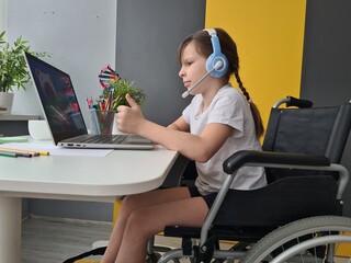 Young Girl in Wheelchair Using Laptop