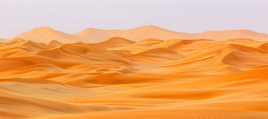 Fototapeta na wymiar Majestic sahara desert landscape in egypt with captivating undulating sand dunes