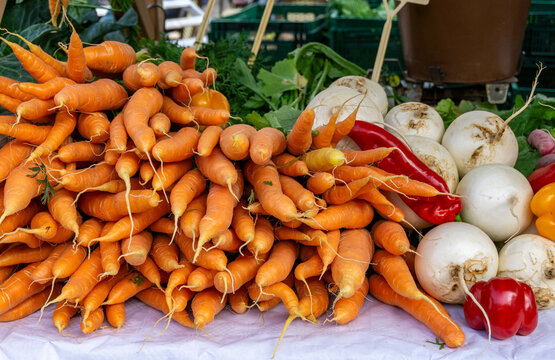 Karotten, gelbe Rüben gestapelt an einem schönen Markt Stand mit Kolrabi und Paprika