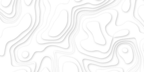 Abstract geometric layered curve line white background. 3d render, paper cut vector art background banner texture. multi layer cutout geometric patterns with smooth wavy layer. white background.