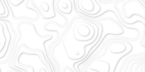 Abstract geometric layered curve line white background. 3d render, paper cut vector art background banner texture. multi layer cutout geometric patterns with smooth wavy layer. white background.